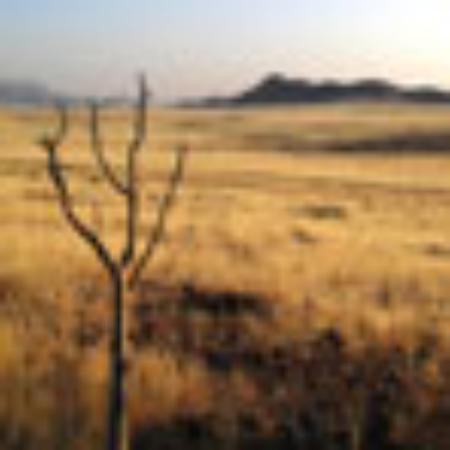 Yard Soe Skin and Salt Grill